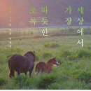 신용암목장 조선일보