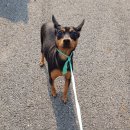 태조산길 이미지