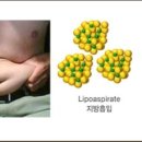 (주)뱅크코리아