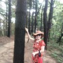 구룡산정상 이미지