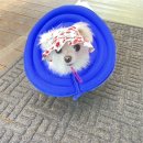 영월민박 서강1805 이미지