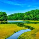 오늘도165 이미지