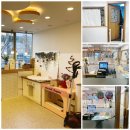 루비반지 PET SHOP 퇴계점 이미지