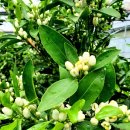 조가물민박 이미지