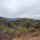 선돌농산물