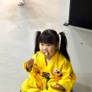 한일태권도 이미지