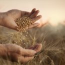 위례봄치과의원 이미지