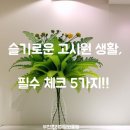 부일로191번길 | [공지] 부천 고시원 생활, 입주 전 꼭 확인해야 할 5가지 체크리스크