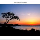 일출로5-L 티스토리