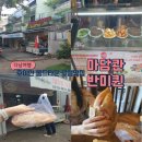 베트남 다낭 호이안 올드타운 가성비 좋고 현지 맛집 마담콴 반미퀸 솔직후기