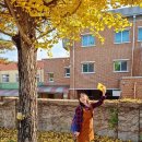 반계초등학교 이미지