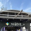 하도내음 | 제주도 3박 4일 여행 숙소 추천, 아르떼뮤지엄, 우도, 휴애리