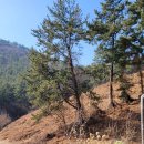 도도앤하우스 이미지