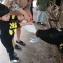 태선목장 이미지