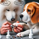 까멜리아네일 이미지