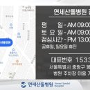 연세산돌병원 이미지
