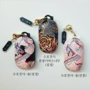 디엔티코리아 | [아이디어스] 오색찬란코리아 버즈 플러스 케이스