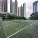 영덕레스피아 인라인하키장 이미지