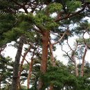 수산리-19 이미지