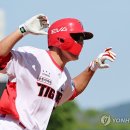 어흥 이미지