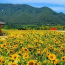 시민체육공원 시민축구장화장실 이미지