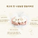 나성농장 이미지