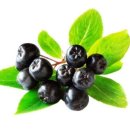 매일여는약국 이미지