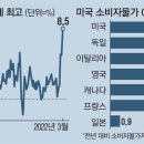 바로물가 이미지