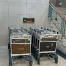 아담파크 | 홍천 소노벨 비발디파크 B동 스위트 스탠다드 취사 숙소 후기 (푸드코트, 객실배정)