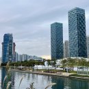 시골쥐를 부탁해 이미지