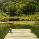 학포웰빙가 이미지