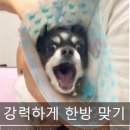 참좋은내과의원 이미지