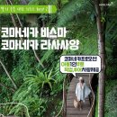 잘란카바른카만들기 | 발리 우붓 풀빌라 호캉스 추천 :: 코마네카 앳 비스마 &amp; 코마네카 라사사양, 발리 신혼여행, 발리 가족...