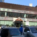 그린피그 이미지