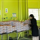 현풍농장 이미지