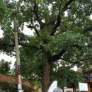 도원마을회관 이미지