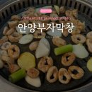 [안양 맛집] 안양예술공원입구 막창 맛집 ‘부자막창‘ 내돈내산 후기