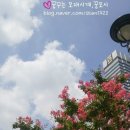 오다가다 카페 이미지