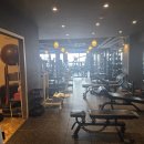 팀베스트 휘트니스 현동점 | 창원 팀베스트 피트니스 팔용점, 피치빌더 머신 도입｜힙라인 운동 끝판왕 헬스장