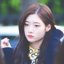 다이아조이