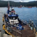 태안호스릴-41 | 보령 오천항 비바호 쭈꾸미 낚시 후기 (25년 10월 5일 출조)