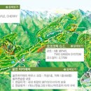 한국회원권신탁