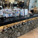 스테이무드온 | 제주도 게스트하우스, 제주도 게하 스테이무드온 파티 후기