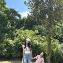 비에이치씨제주세화점 | 아이랑 제주 21박22일 | 10일차:) | 카페 보통 | 세화오일장 | 평대해변 | bhc 동그락 바삭치킨 후기