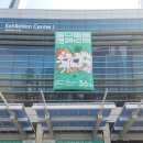 11590-마36-3 | 2026 부산 궁팡 1일차 후기 | 고양이 집사 36회 캣페스타 관람기