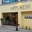 히포레스트(Hipporest) | 울산 달동 귀여운 하마 감성 카페, 히포레스트 &#39;hIPPOREST&#39;
