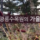 광릉한의원 이미지