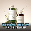 인생샴푸 찾았다! 에코글램 스칼프 클렌징 샴푸 프레쉬 민트 리얼 후기