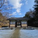 경북 의성 고운사 방문 후기, 대구 근교 드라이브 코스