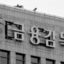 에스디제이 이미지